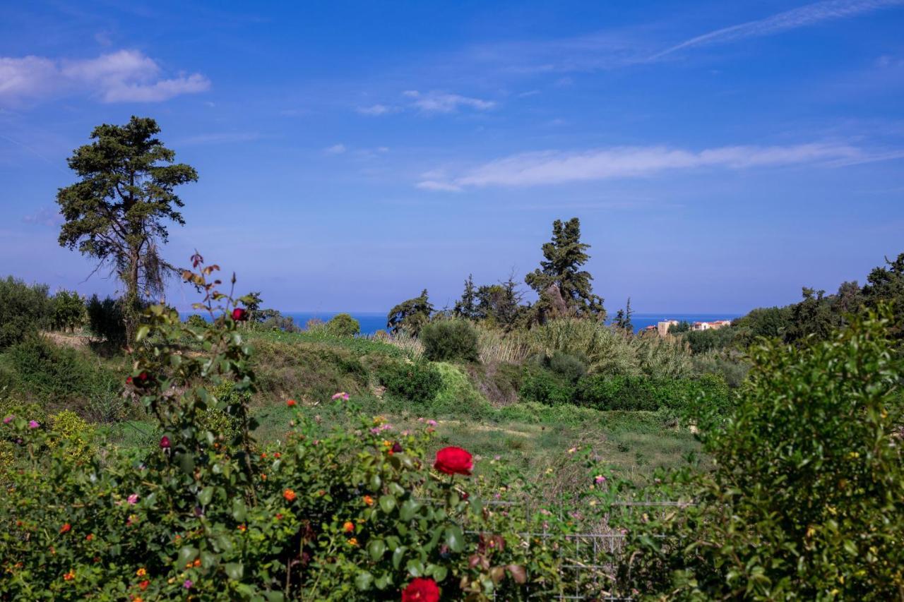 The Olive House Villa Kondomarion Exterior photo